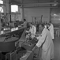 souvenirs en noir et blanc (81)